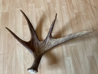 Fällhorn nr 2 Fällhorn nr 2