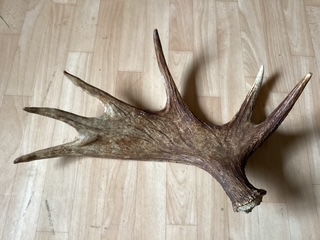 Fällhorn nr 3 Fällhorn nr 3