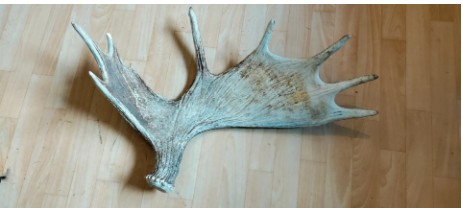 Fällhorn nr 4 Fällhorn nr 4